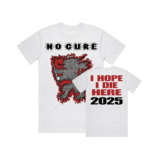 Fire Dragon Shirt