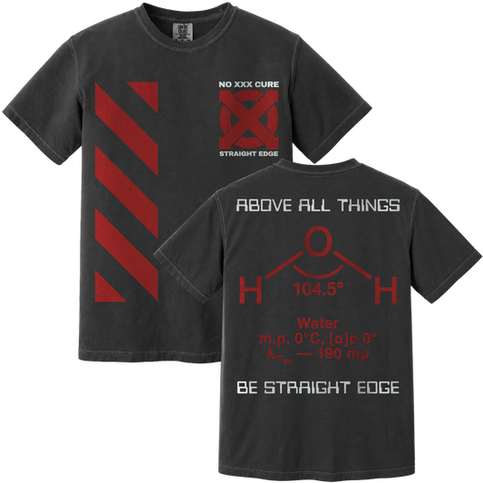 Above All Things Shirt (Comfort Colors)