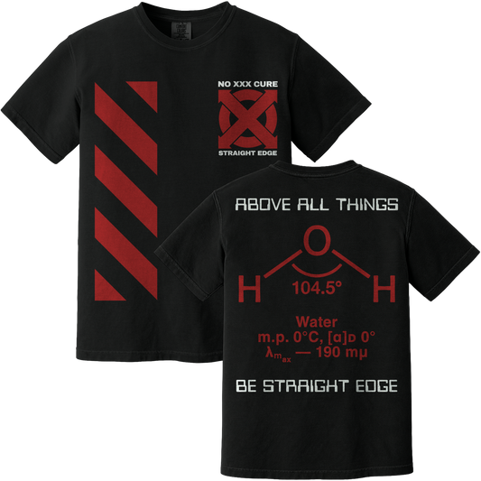 Above All Things Shirt (Comfort Colors)
