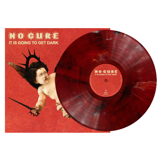 It Is Going to Get Dark Vinyl LP